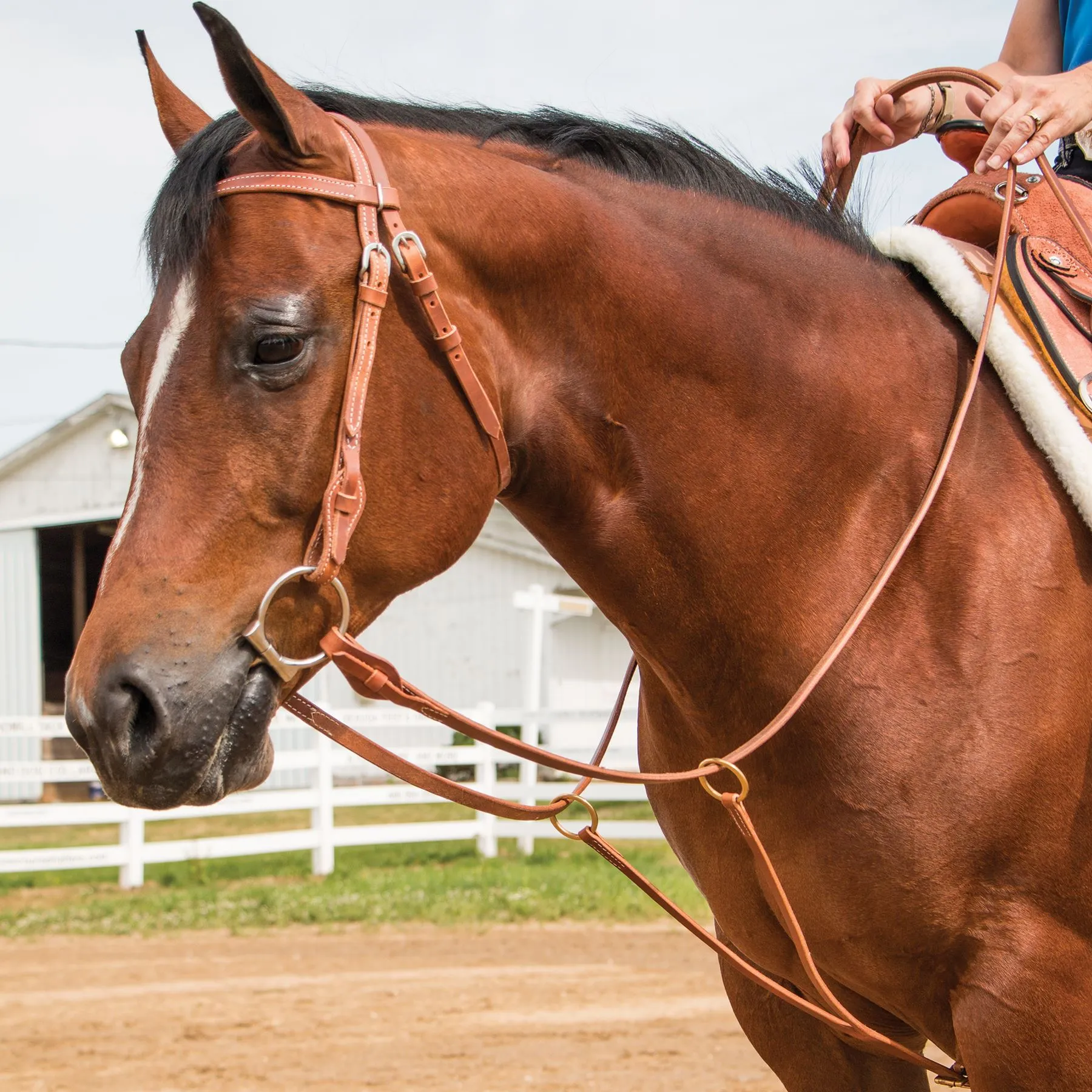 Billy Royal® Texas Training Fork - Image 3