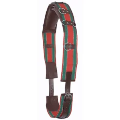 Premier® Premier Web/Leather Training Surcingle