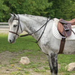 Billy Royal® German Martingale