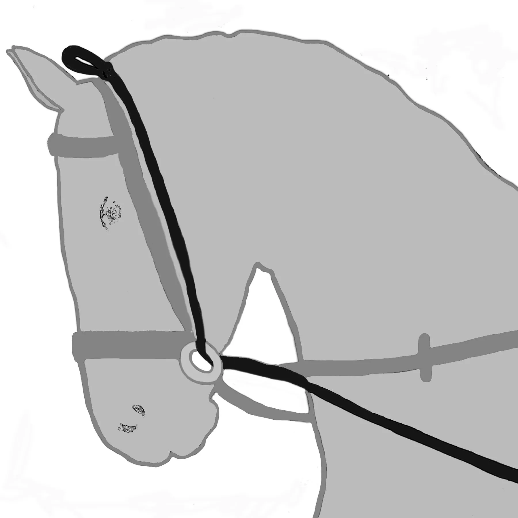 Dura-Tech® Elastic Horse Neck Stretcher - Image 4