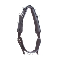 Dura-Tech® Deluxe Neoprene Surcingle