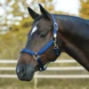 Dura-Tech Supreme Triple Ply Nylon Halter For Horses With Brass Grommets