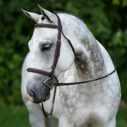 Pinnacle Padded Bridle