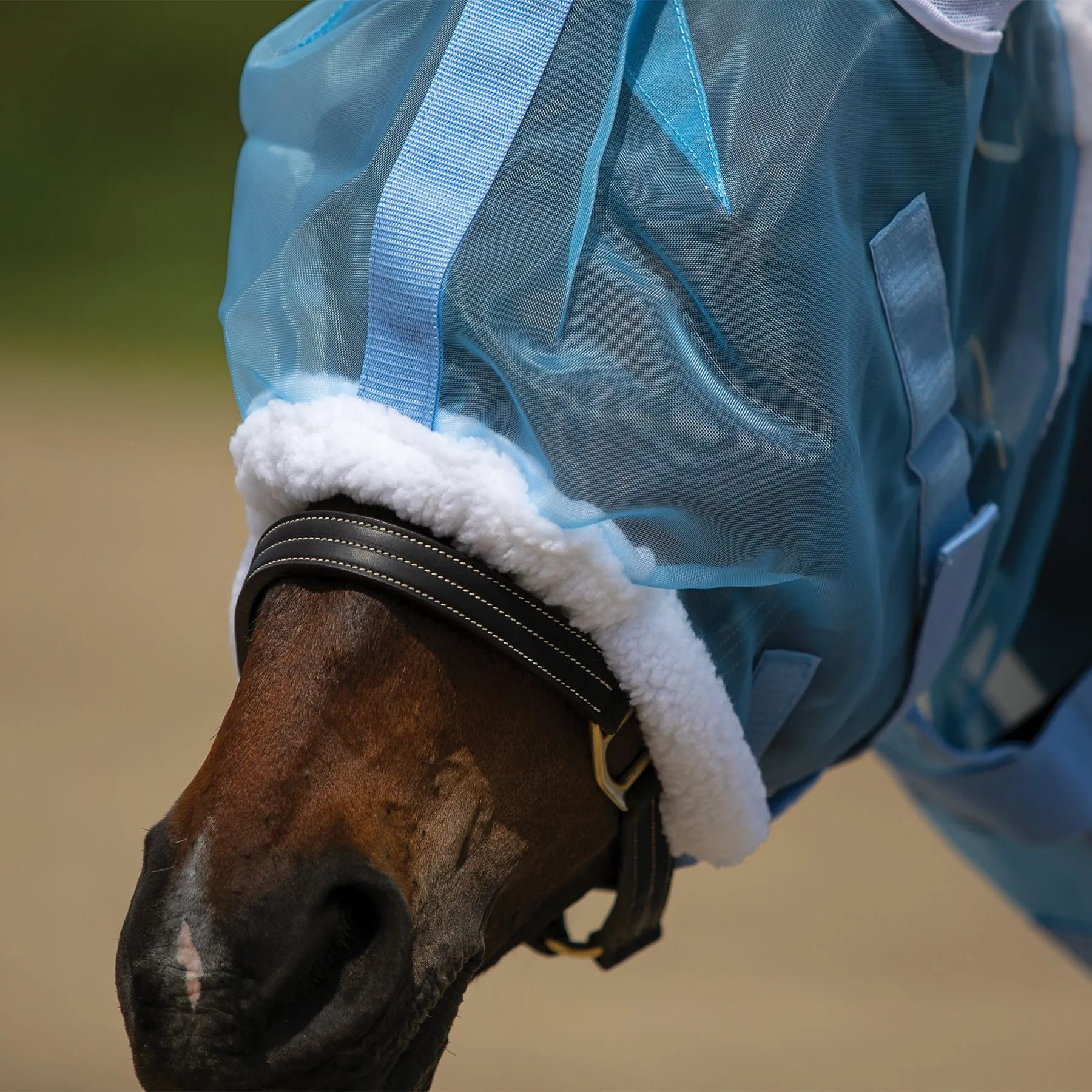 Mosquito Mesh Fly Mask With Ears - Image 6