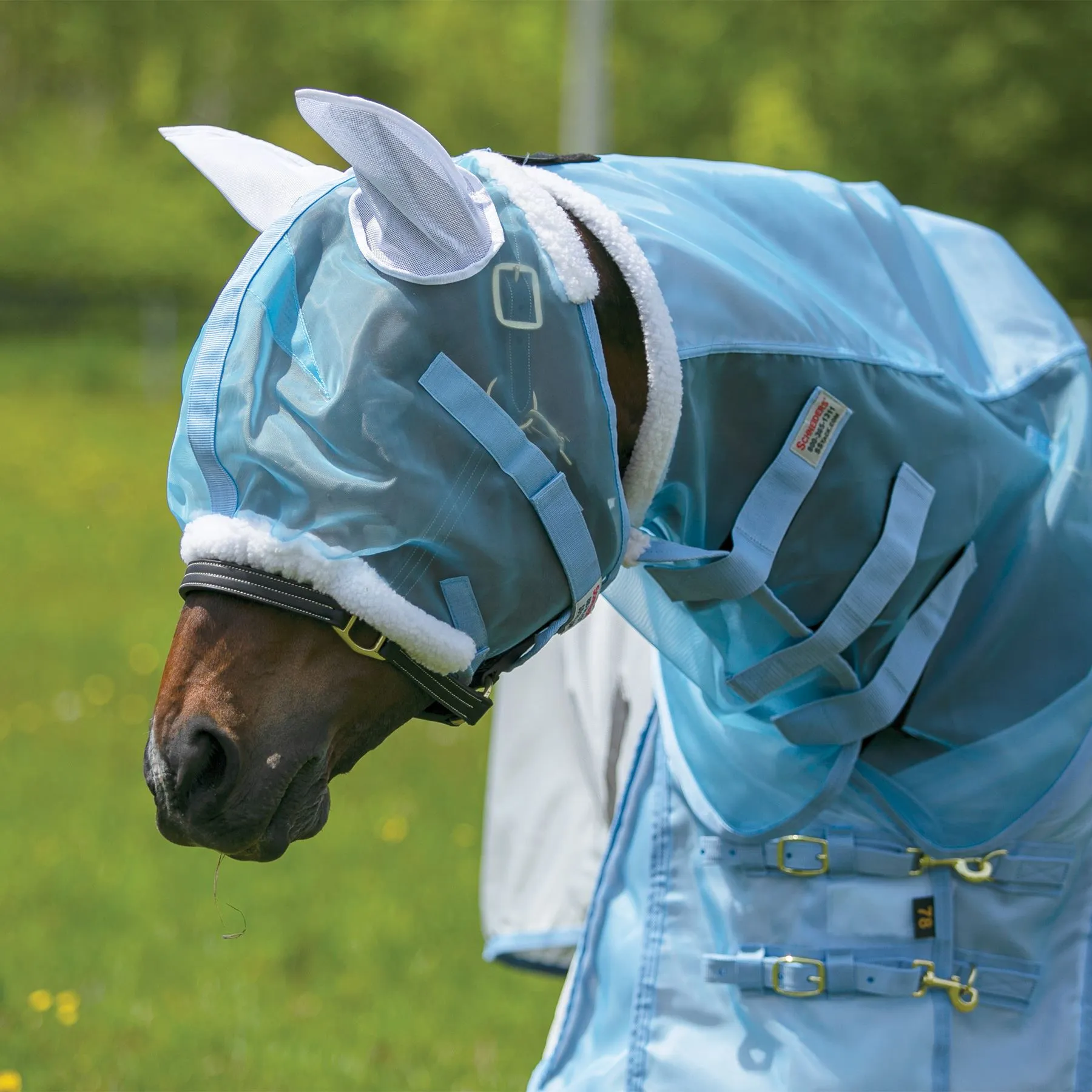 Mosquito Mesh Fly Mask With Ears - Image 9