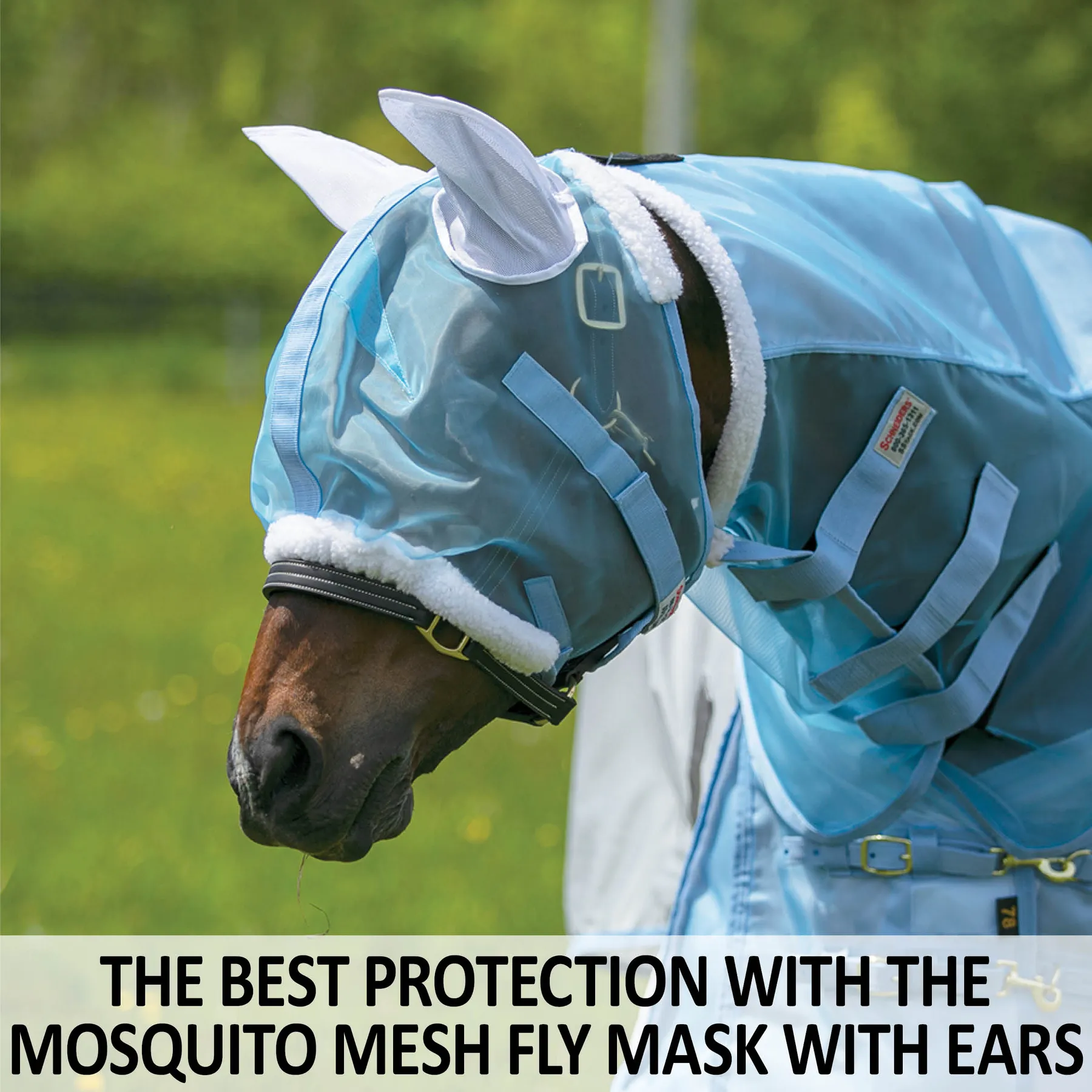 Mosquito Mesh Fly Mask With Ears - Image 2