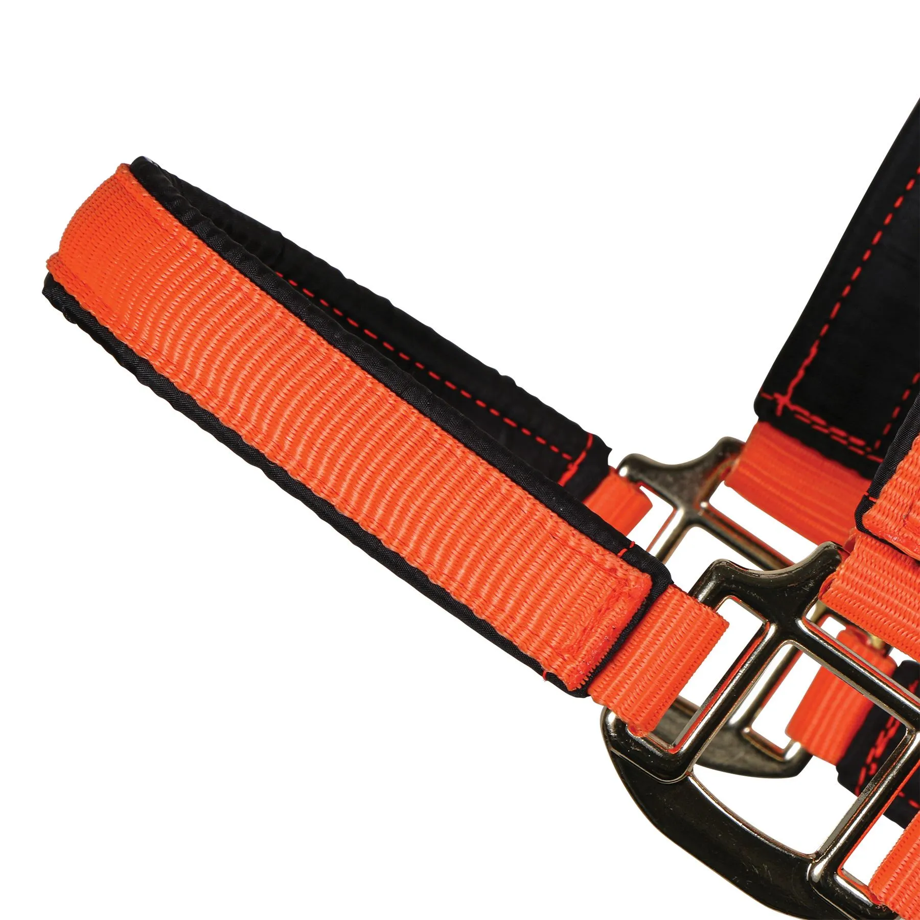 Dura-Tech Deluxe Fully Padded Nylon Halter For Horses - Image 2