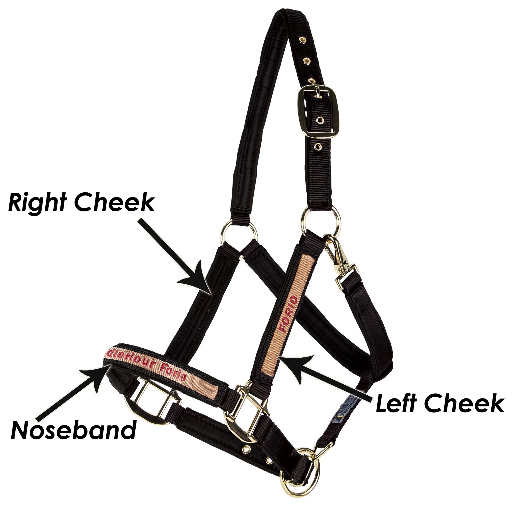 Dura-Tech Deluxe Fully Padded Nylon Halter For Horses - Image 4