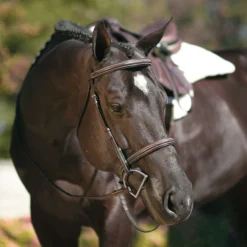 Pinnacle Padded Fancy Stitched Bridle