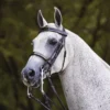 Joseph Sterling® Kiesner Comfort Show Bridle