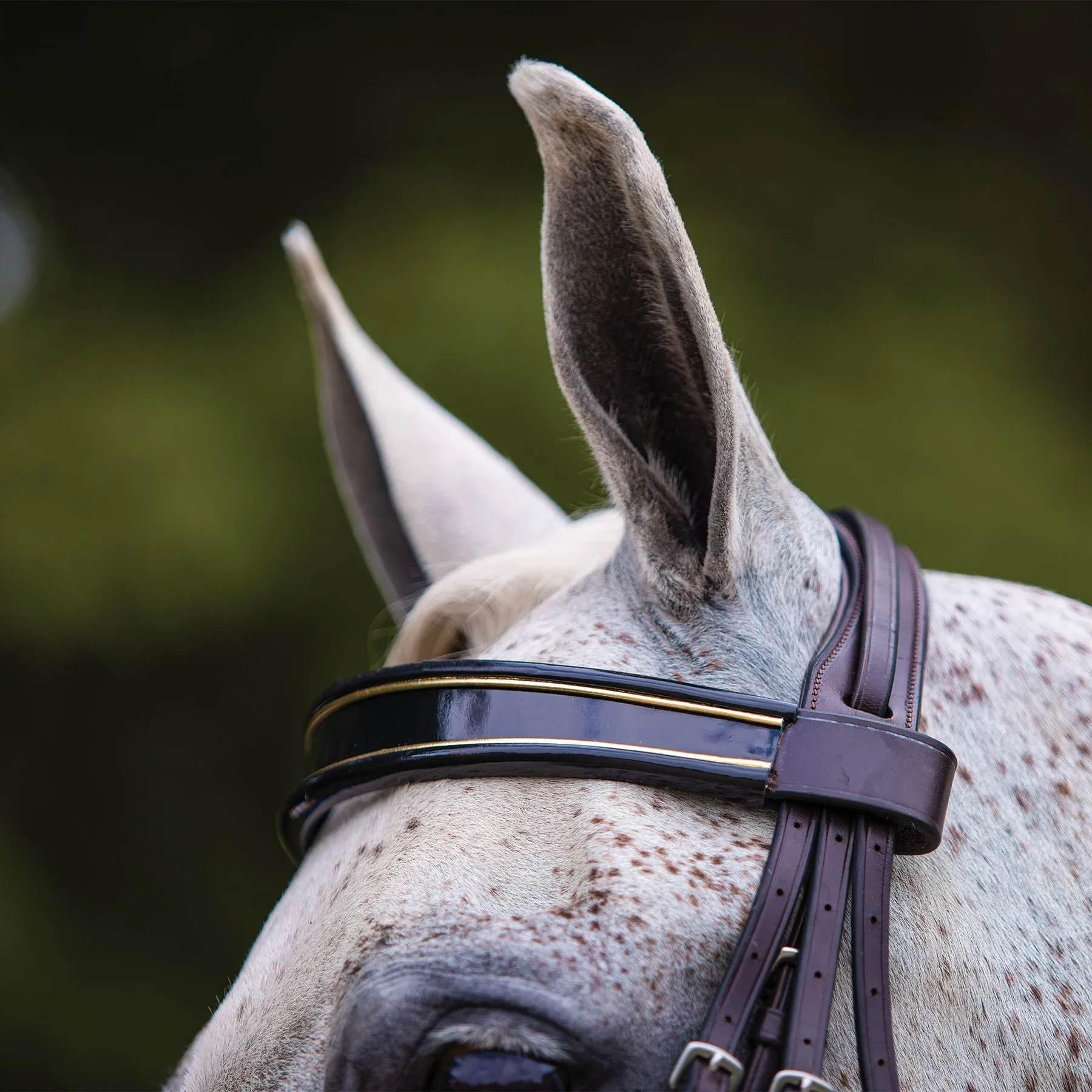 Joseph Sterling® Kiesner Comfort Show Bridle - Image 3