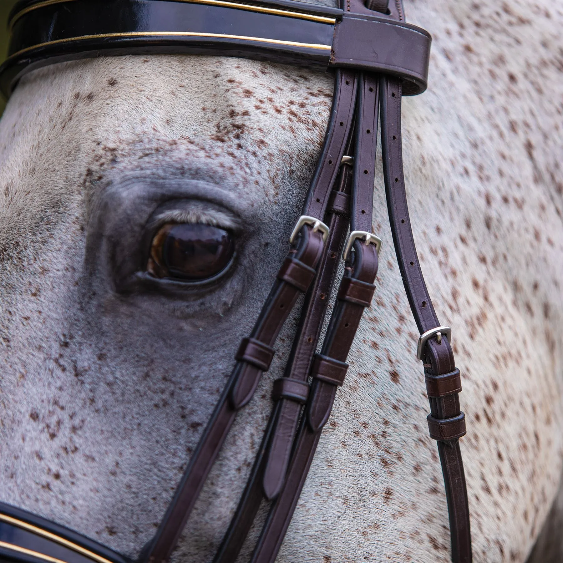 Joseph Sterling® Kiesner Comfort Show Bridle - Image 7