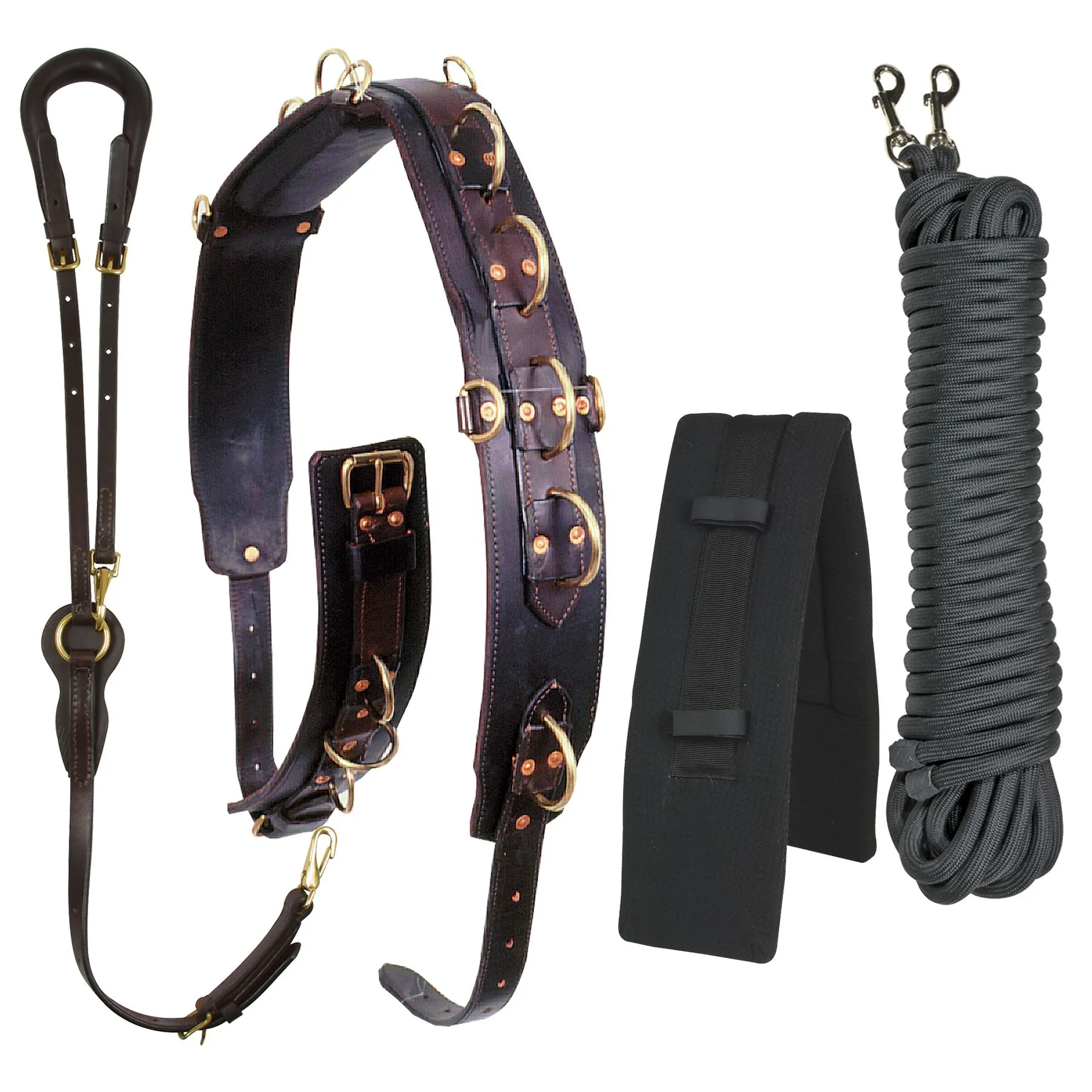 Schneiders Long Lining 4 Piece Training Package