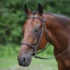 Premier® Premier Raised Fancy Stitched Bridle