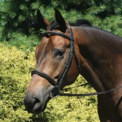Premier® Premier Raised Padded Bridle