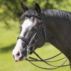 Joseph Sterling® Double Dressage Bridle