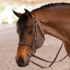 Joseph Sterling® Pro Series Classic Hunter Bridle