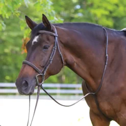 Pinnacle Standing Martingale