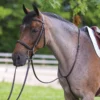 Premier® Premier Raised Fancy Stitched Standing Martingale