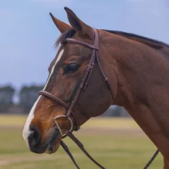 Pinnacle Hunter Classic II Bridle