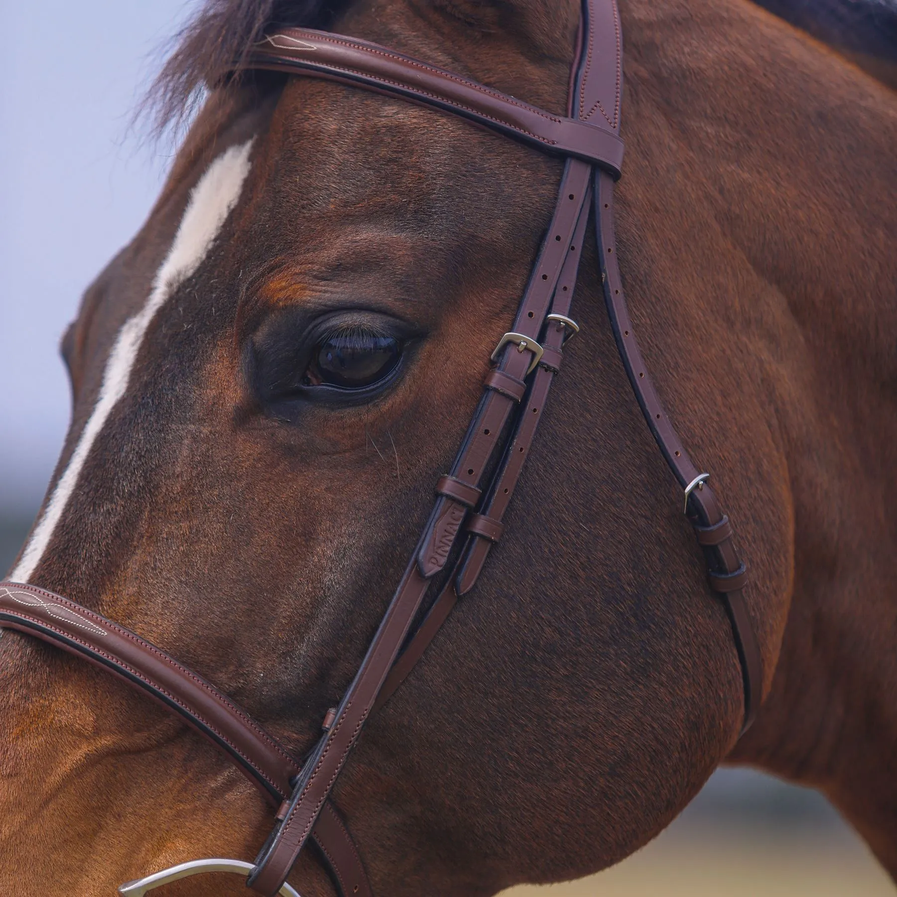 Pinnacle Hunter Classic II Bridle - Image 7