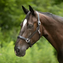 Joseph Sterling® Aachen Dressage Halter