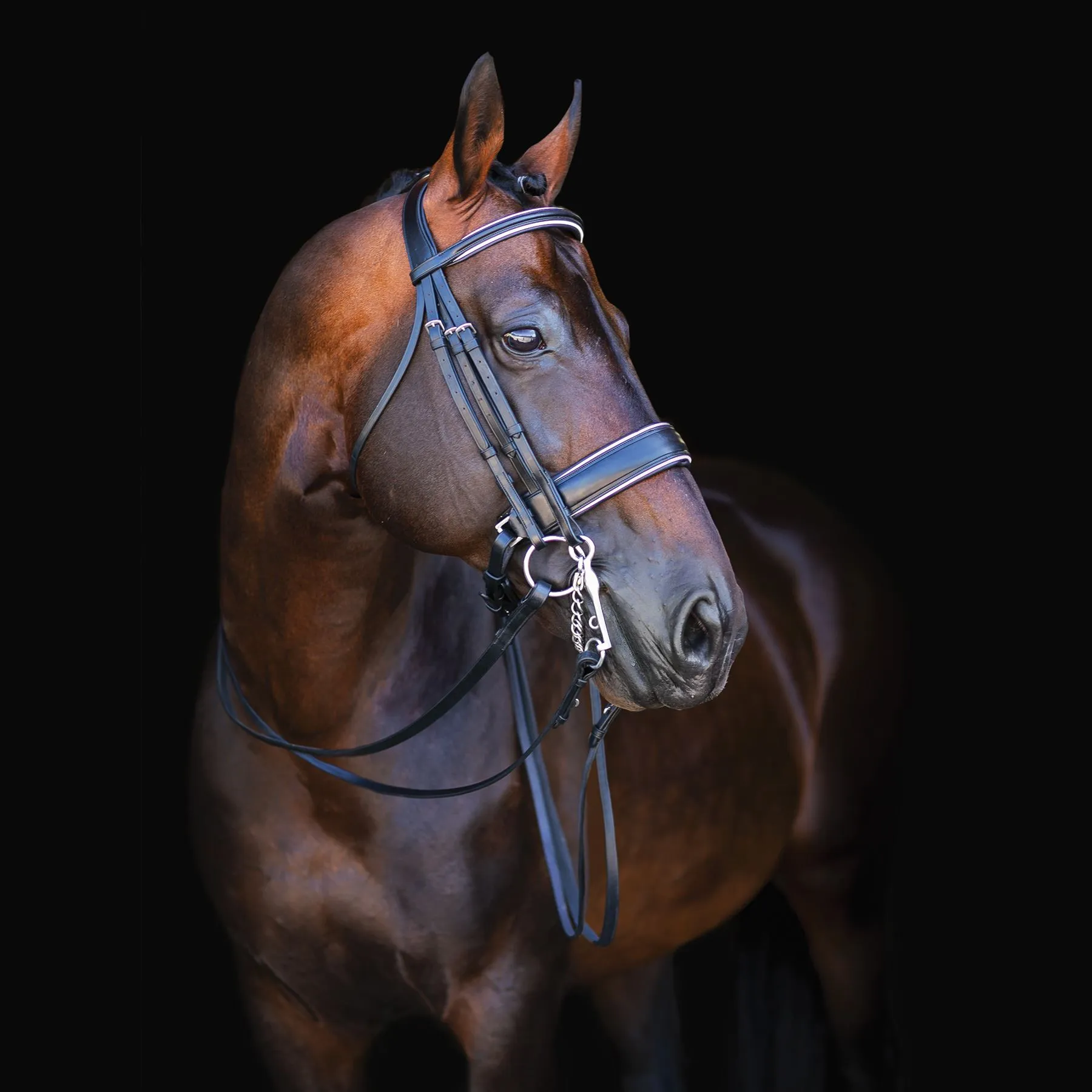 Joseph Sterling® Conversion Dressage Bridle With Patent Trim