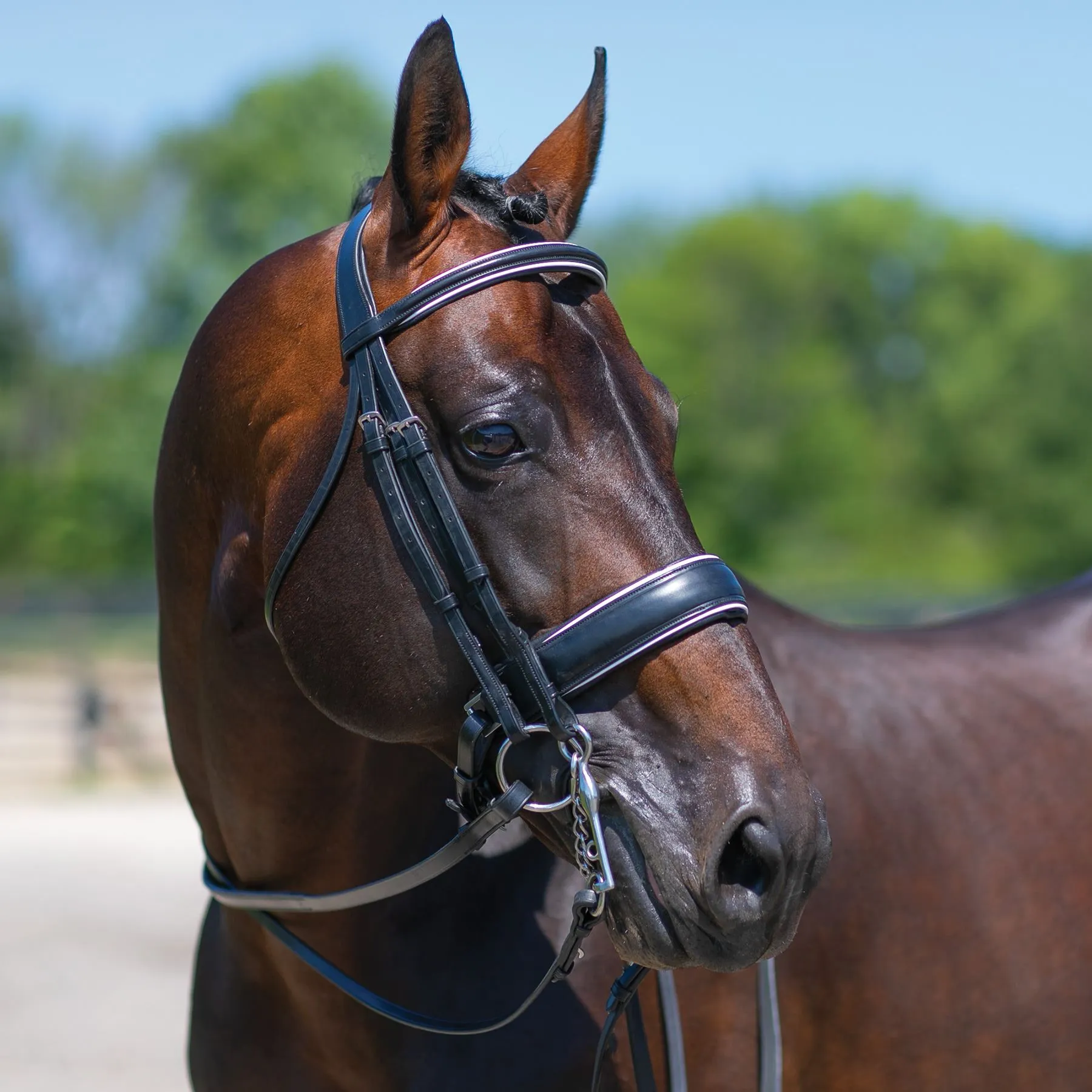 Joseph Sterling® Conversion Dressage Bridle With Patent Trim - Image 2