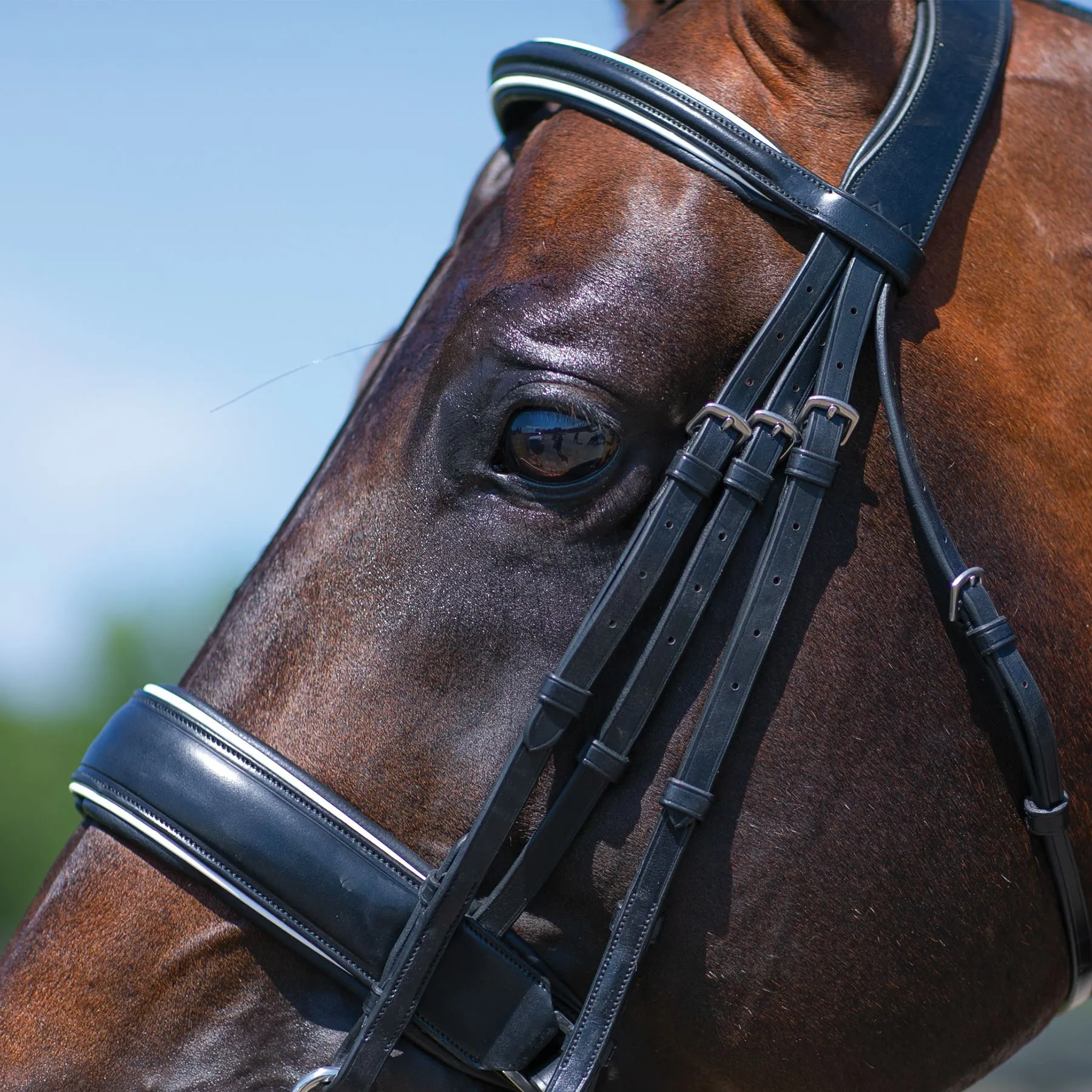 Joseph Sterling® Conversion Dressage Bridle With Patent Trim - Image 3