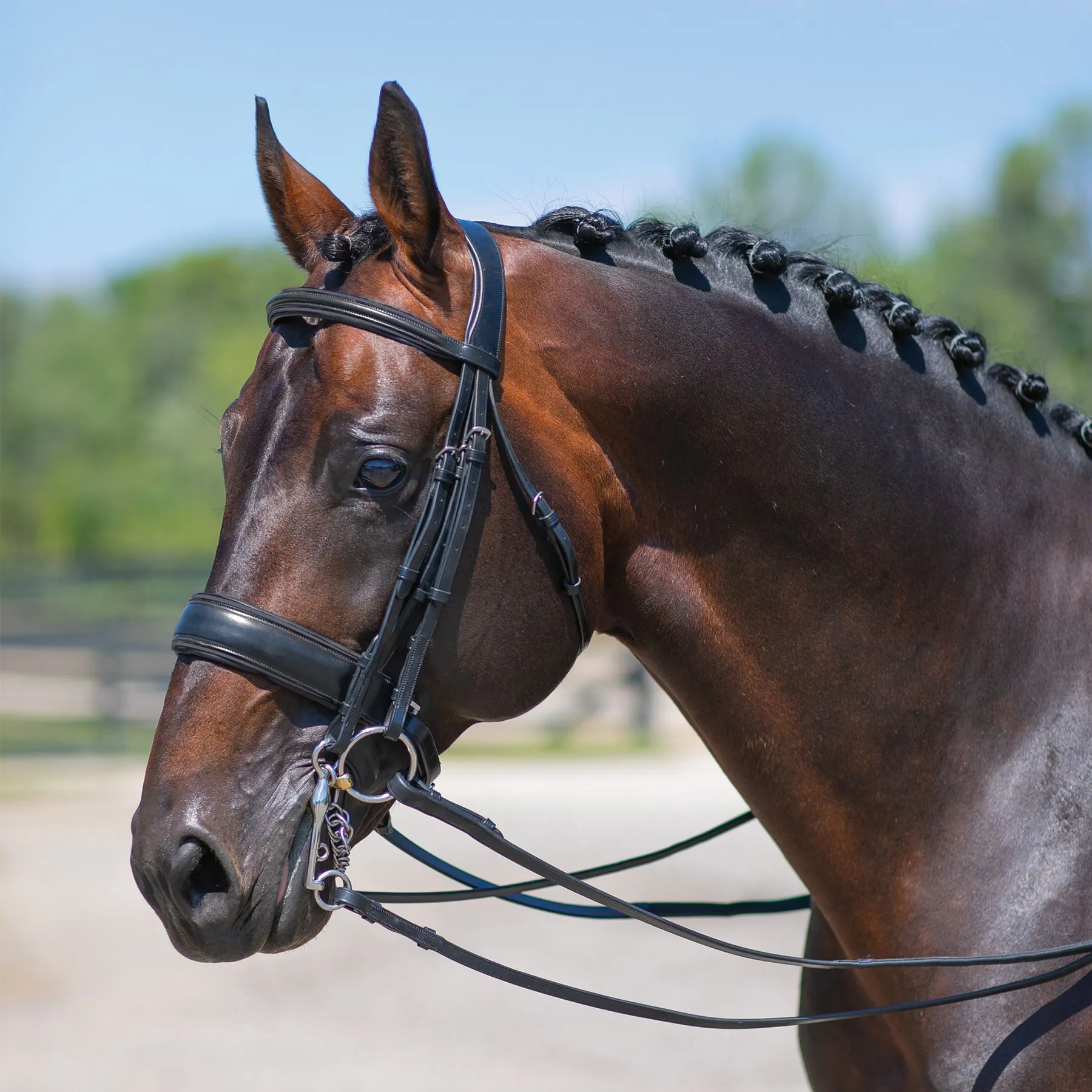 Joseph Sterling® Conversion Dressage Bridle With Patent Trim - Image 6