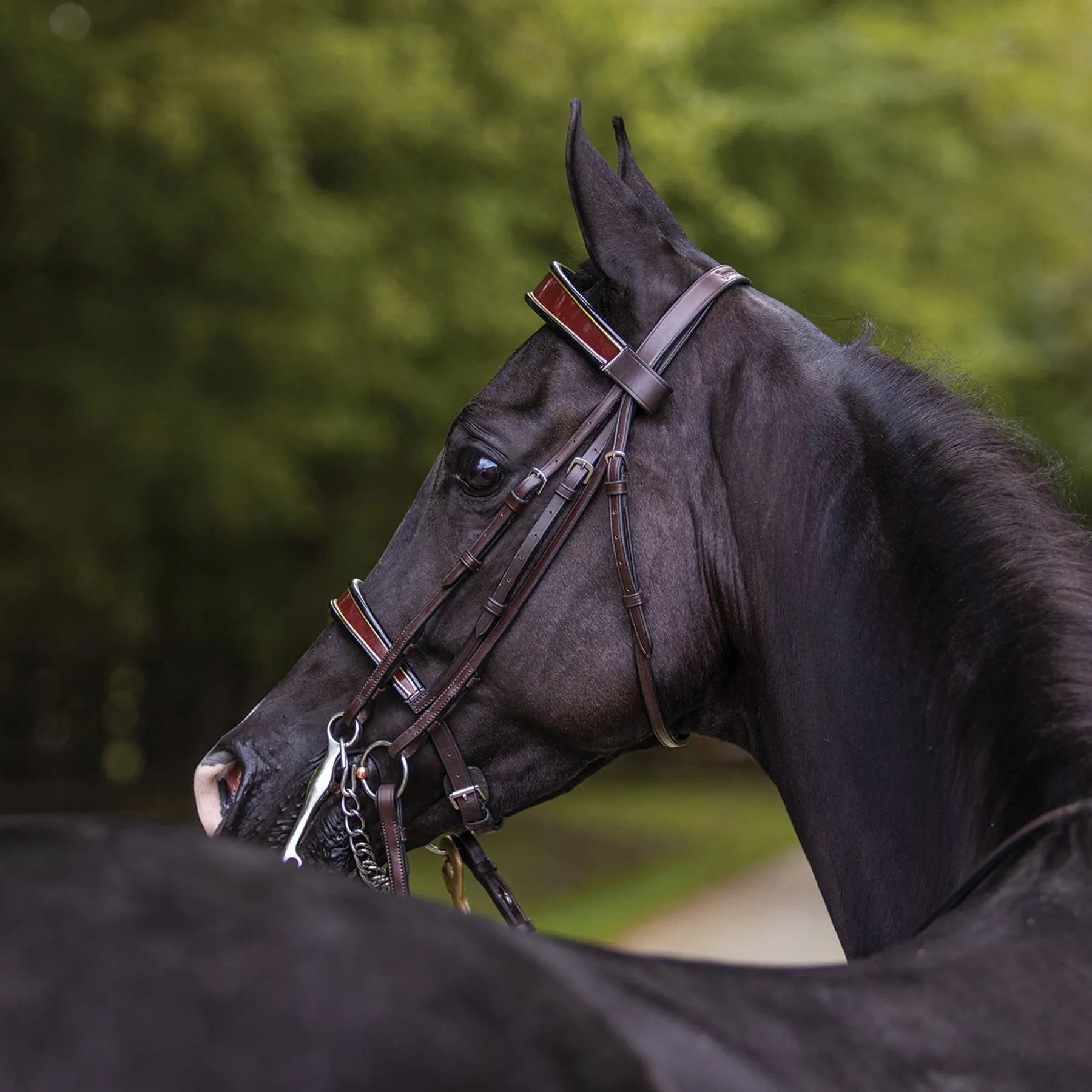 Joseph Sterling® English Show Bridle - Image 6