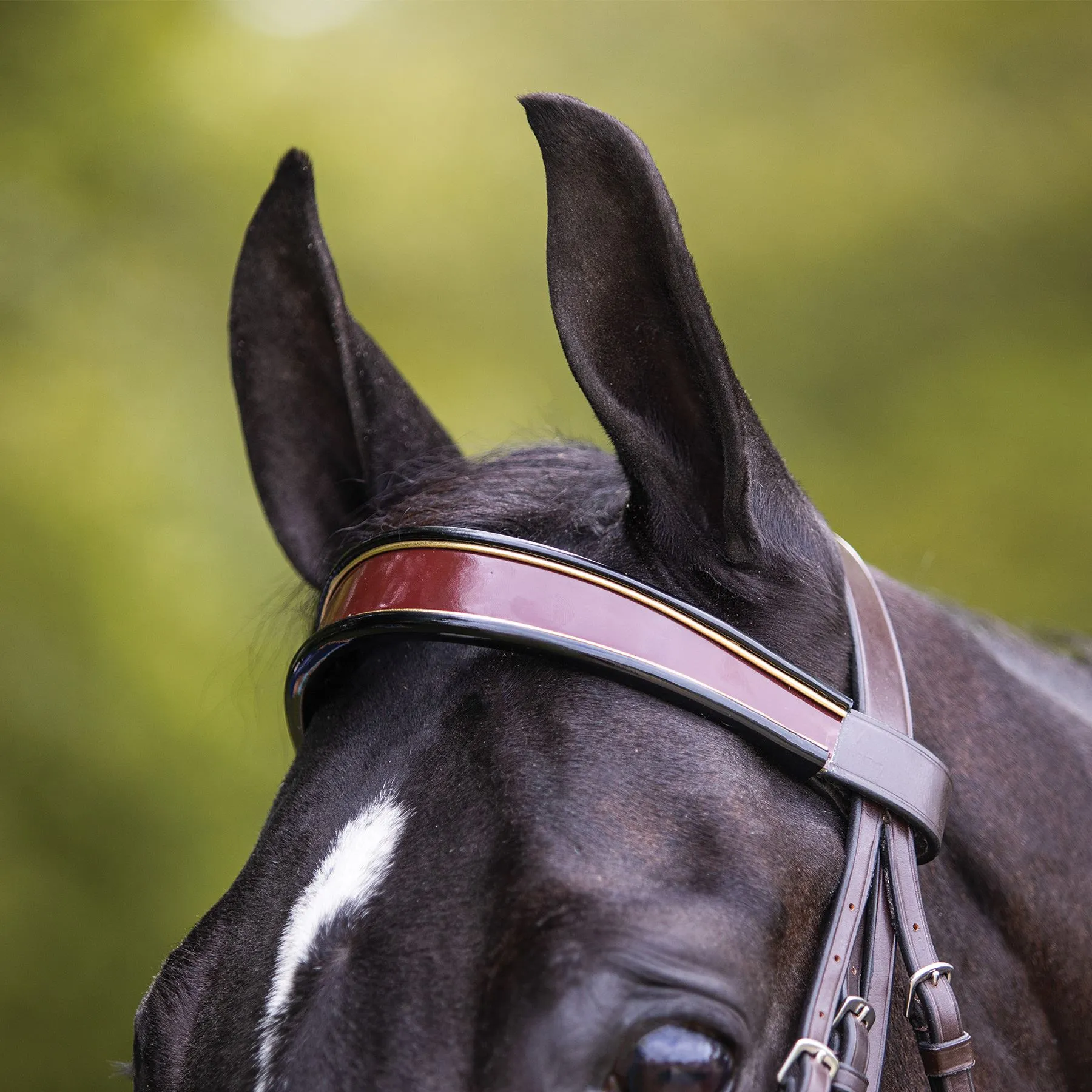 Joseph Sterling® English Show Bridle - Image 8