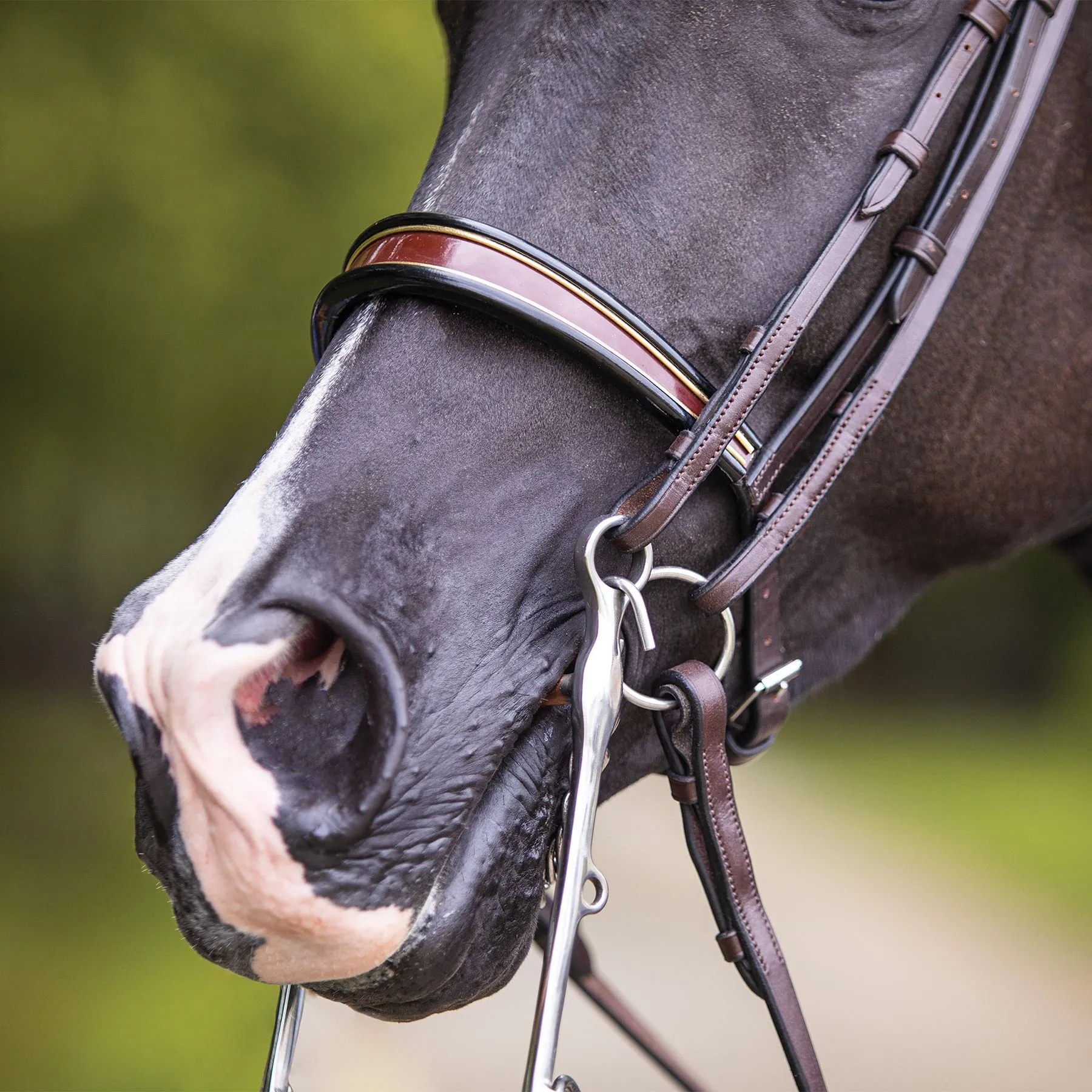Joseph Sterling® English Show Bridle - Image 9