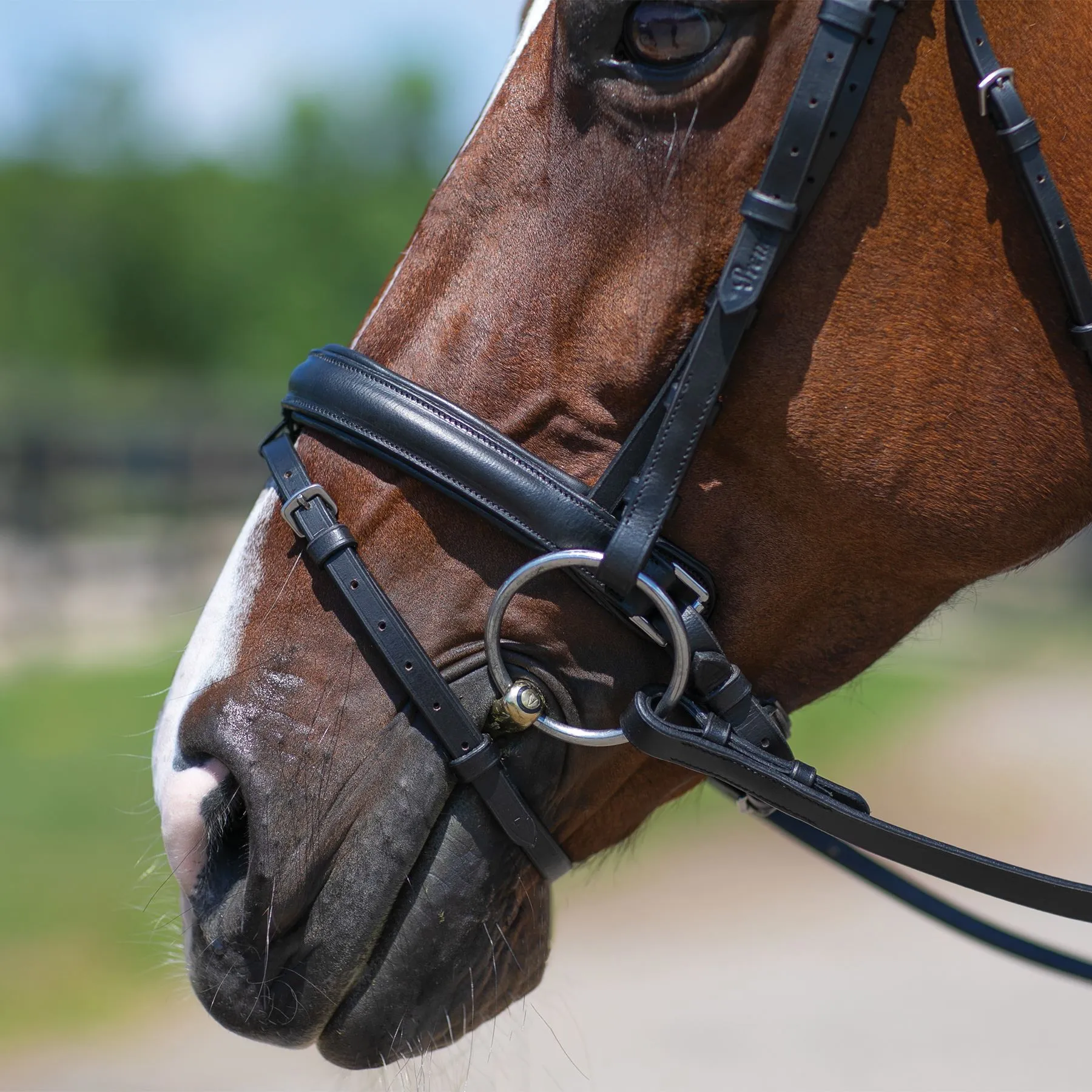 Premier® Premier Dressage Snaffle Bridle With Crank - Image 2