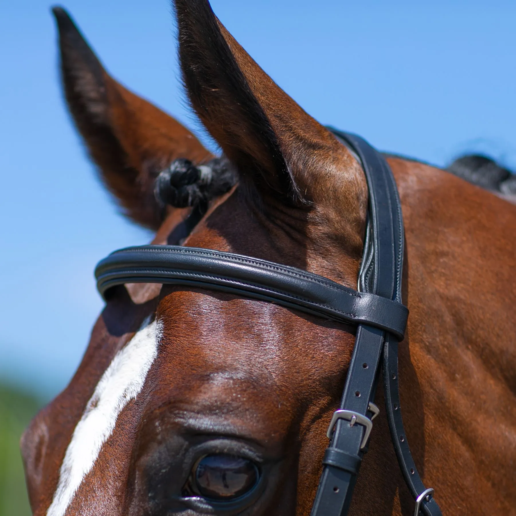 Premier® Premier Dressage Snaffle Bridle With Crank - Image 3