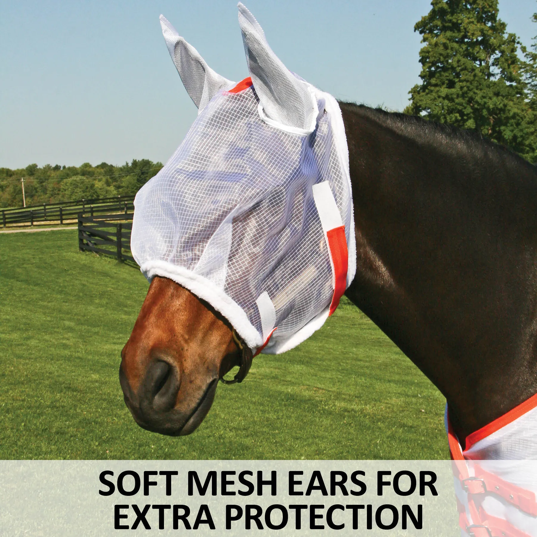 Ripstop Nylon Mesh Fly Horse Mask With Ears - Image 4