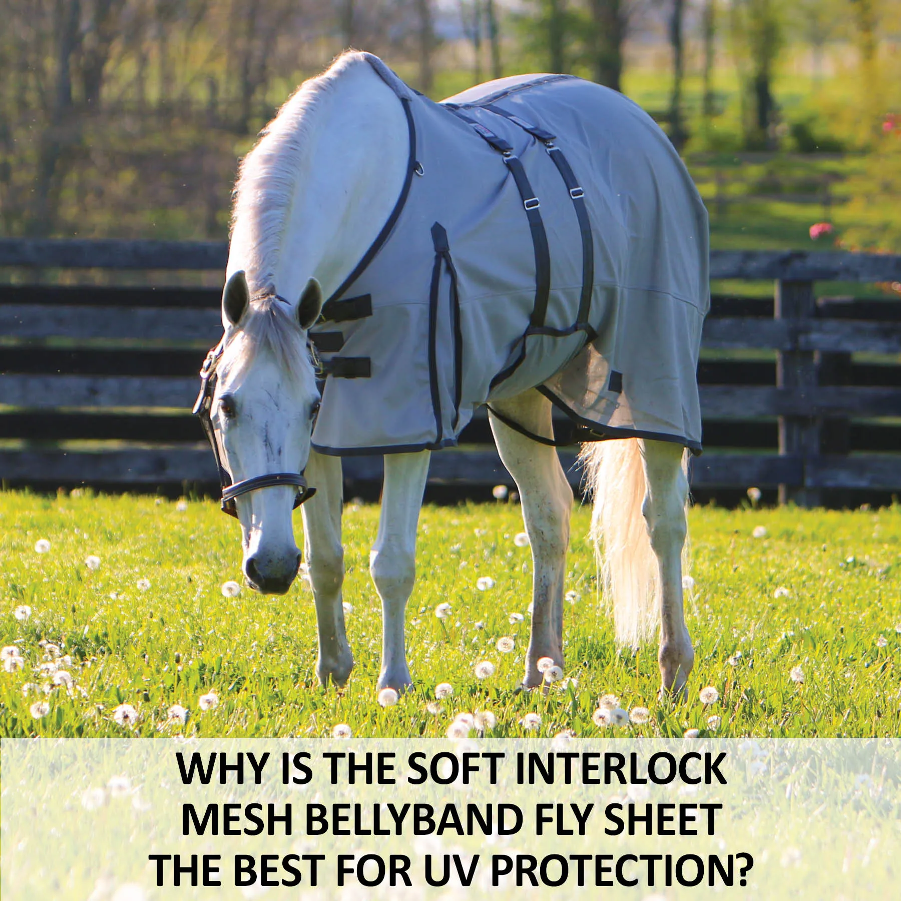 Soft Interlock Mesh Euro Bellyband Horse Fly Sheet - Image 2