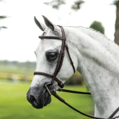 Pinnacle Raised Braided Hunter Bridle