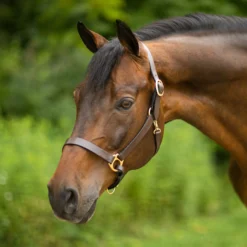 Premier® Premier Lancaster Leather Halter