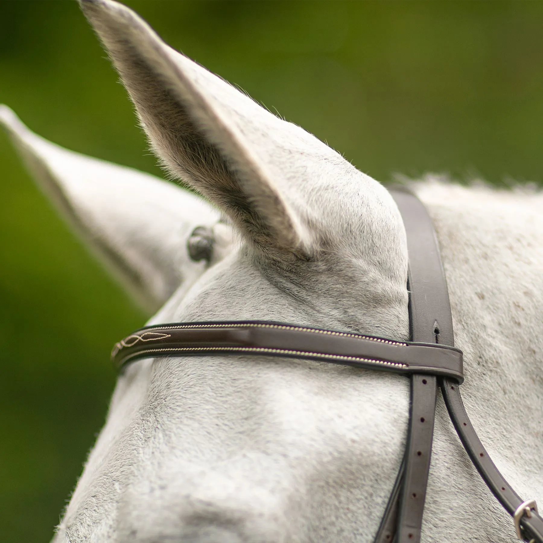 Joseph Sterling® Hartford Hunter Bridle - Image 3