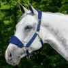 Dura-Tech Fleece Lined Web Halter For Horses