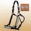 Billy Royal SP Rio Grande Show Halter For Horses