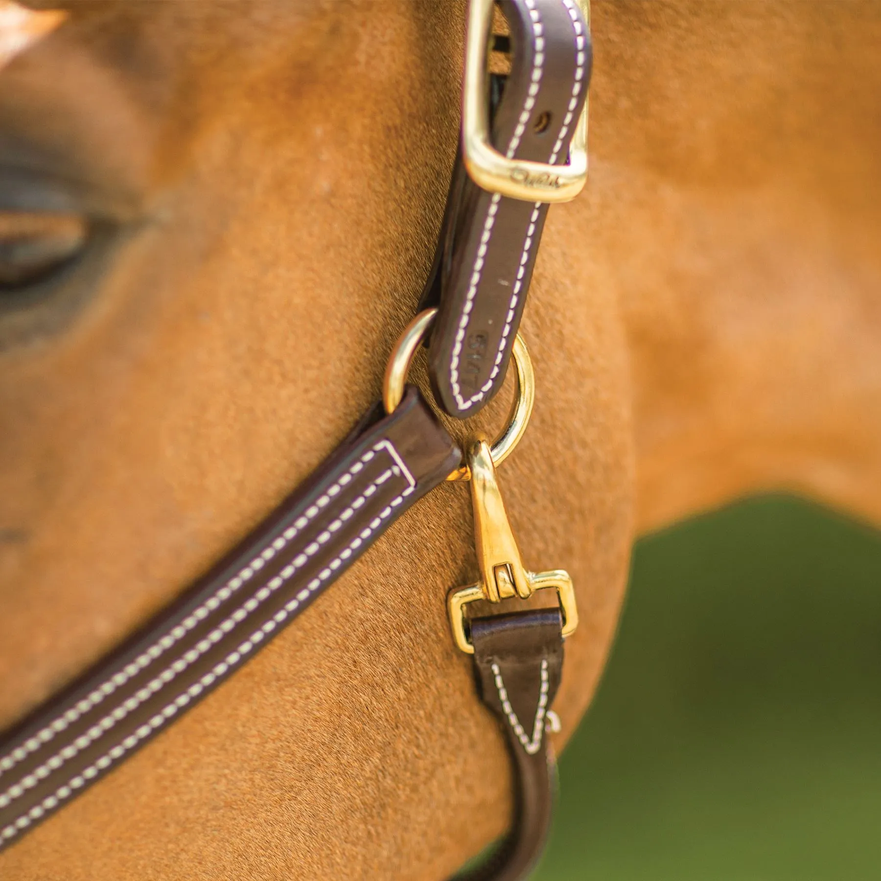 Walshâ„¢ British Triple Stitched Leather Halter - Image 4