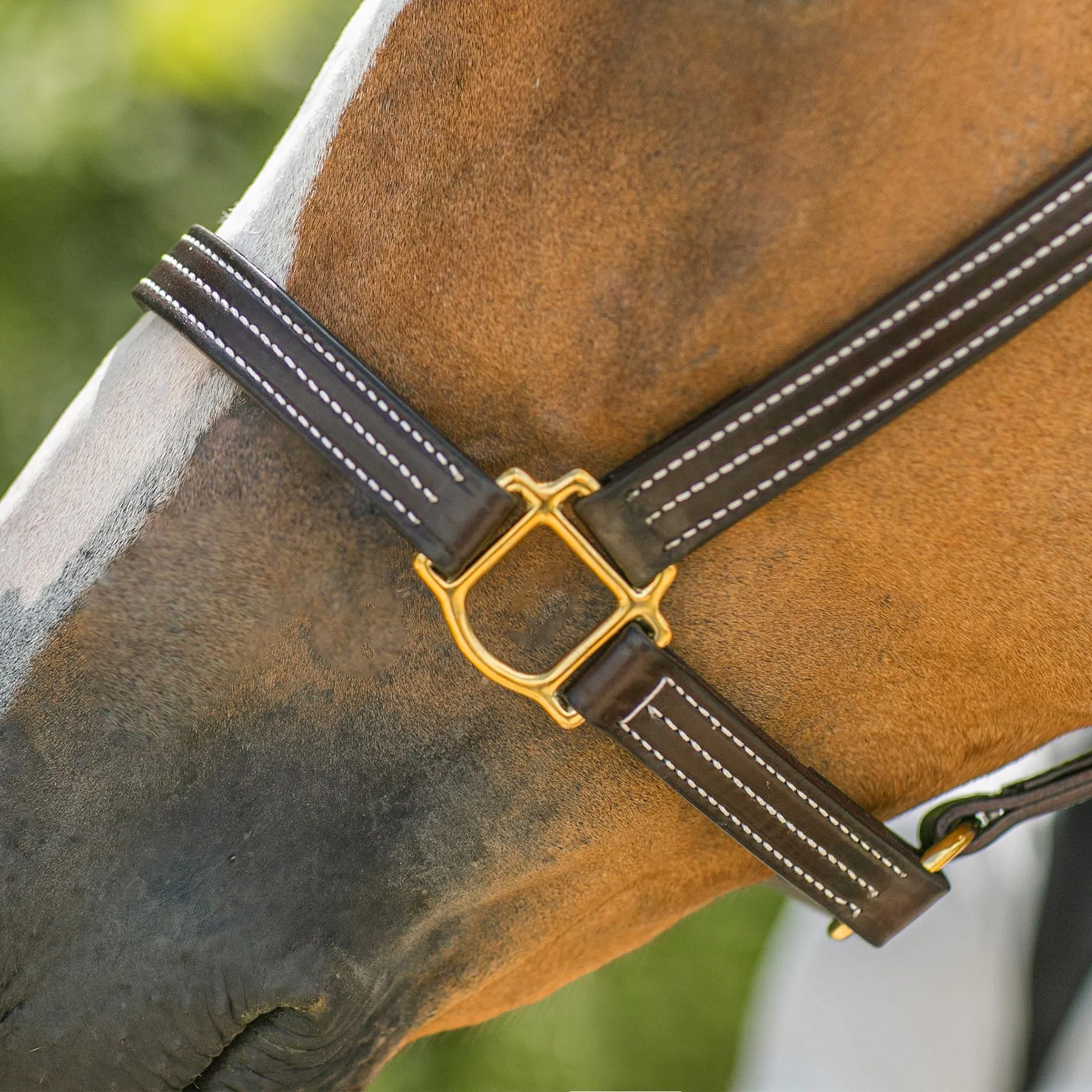 Walshâ„¢ British Triple Stitched Leather Halter - Image 5