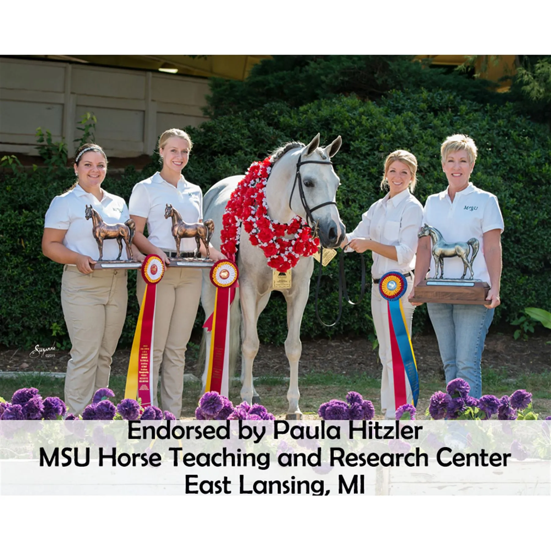 Victor Supreme Arabian Training Halter With Browband - Image 2