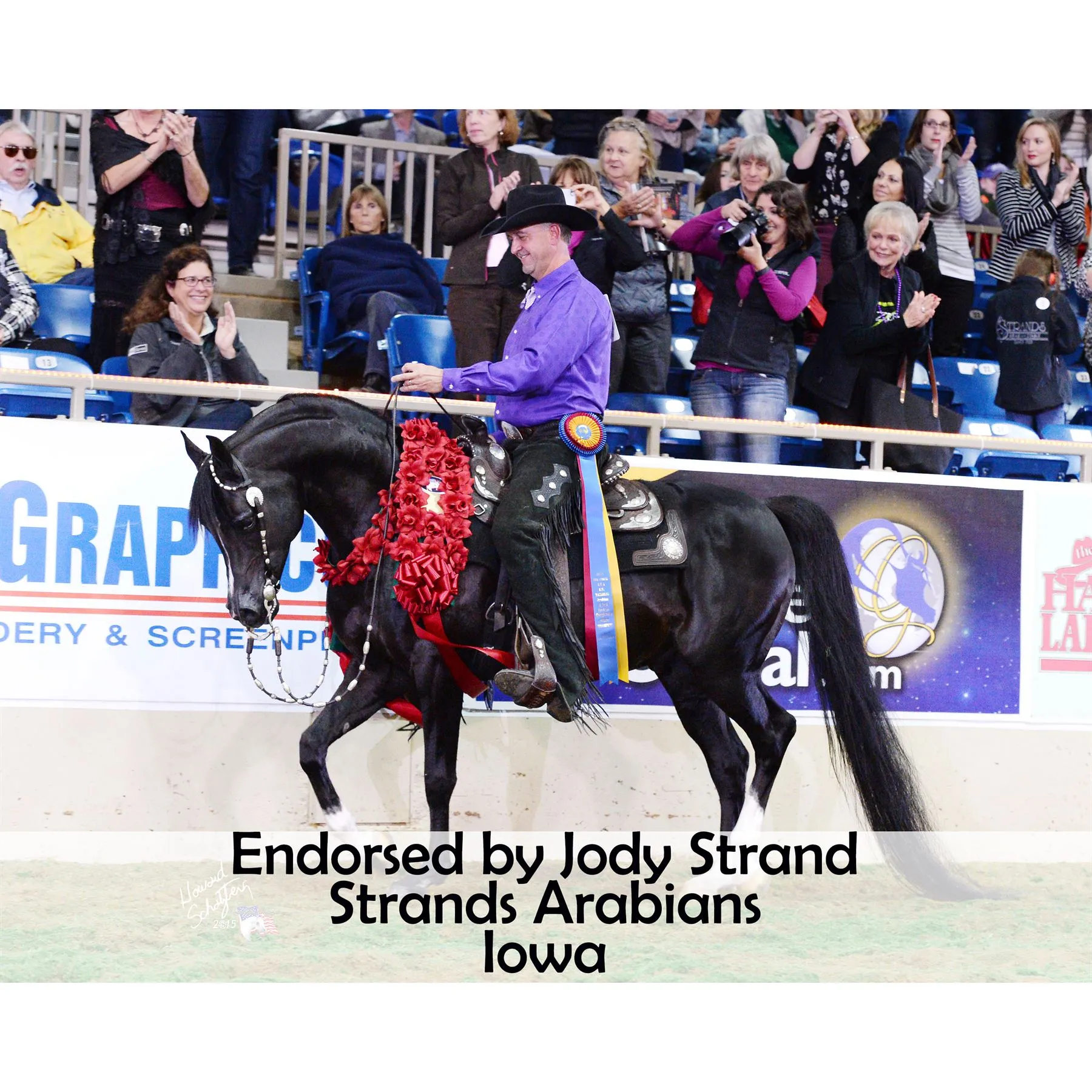 Victor Supreme Arabian Training Halter With Browband - Image 3