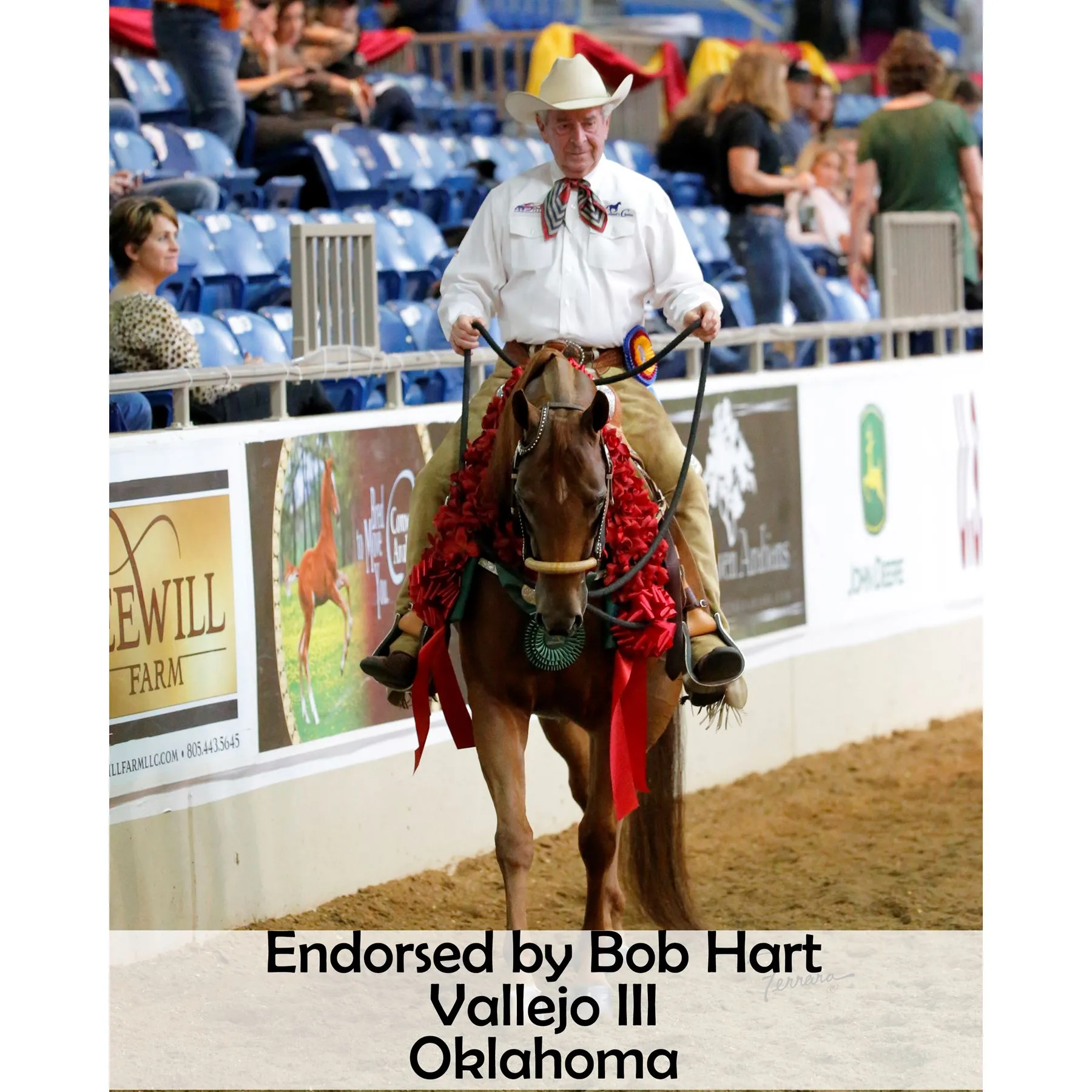 Victor Supreme Arabian Training Halter With Browband - Image 6