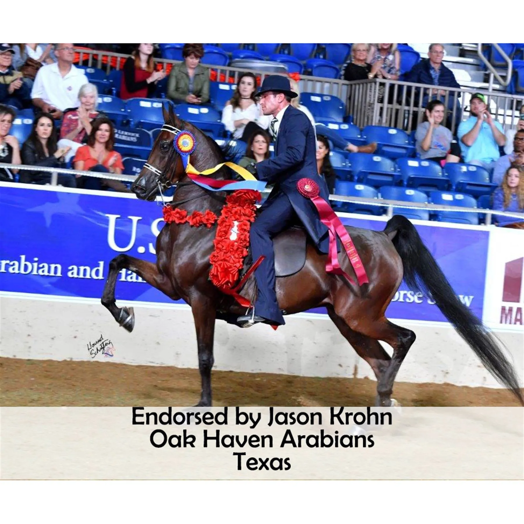 Joseph Sterling Millennium Masterbuilt Cutback Saddle - Image 11