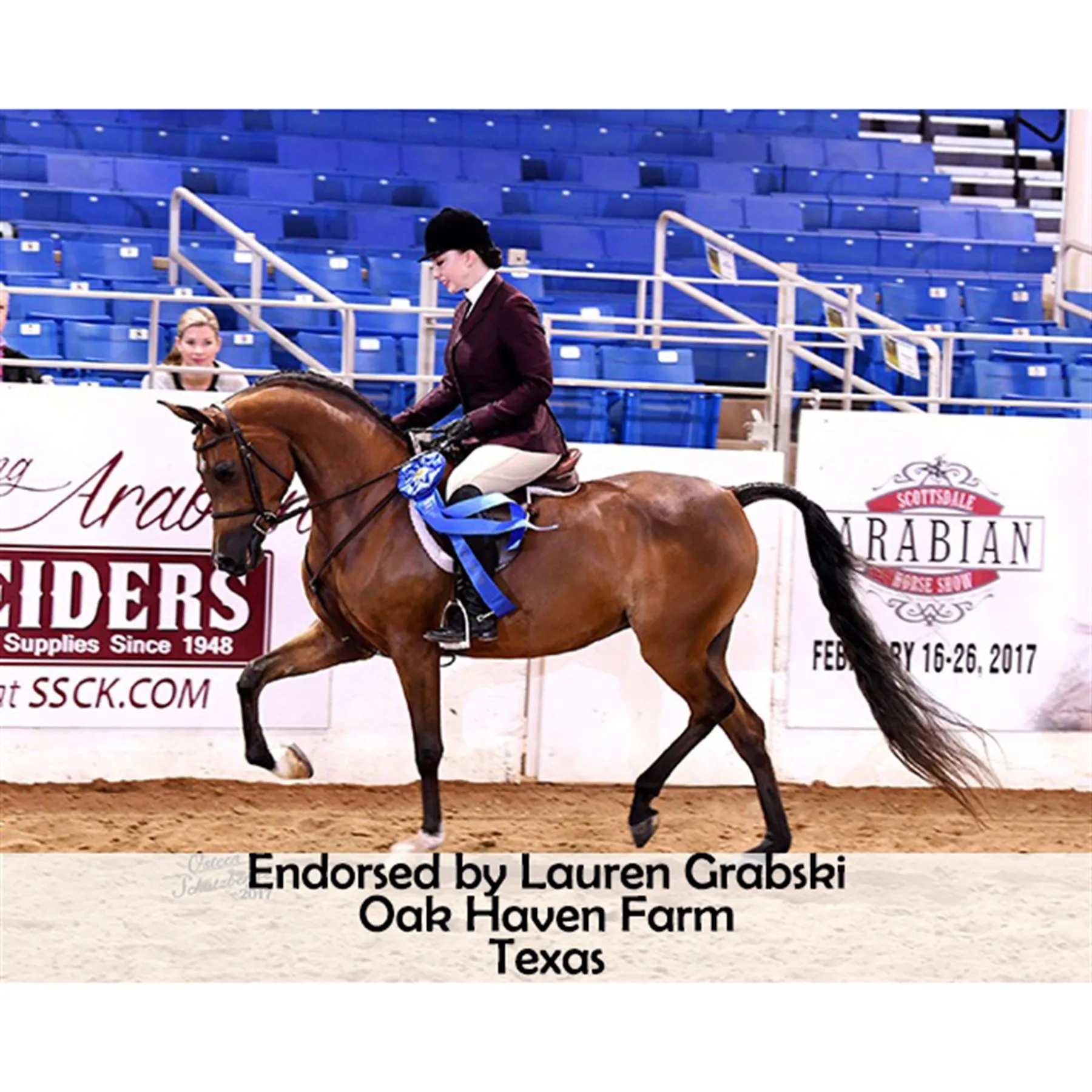 Joseph Sterling Millennium Masterbuilt Cutback Saddle - Image 12