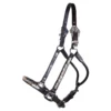 Billy Royal® Casper Arabian Silver Show Halter
